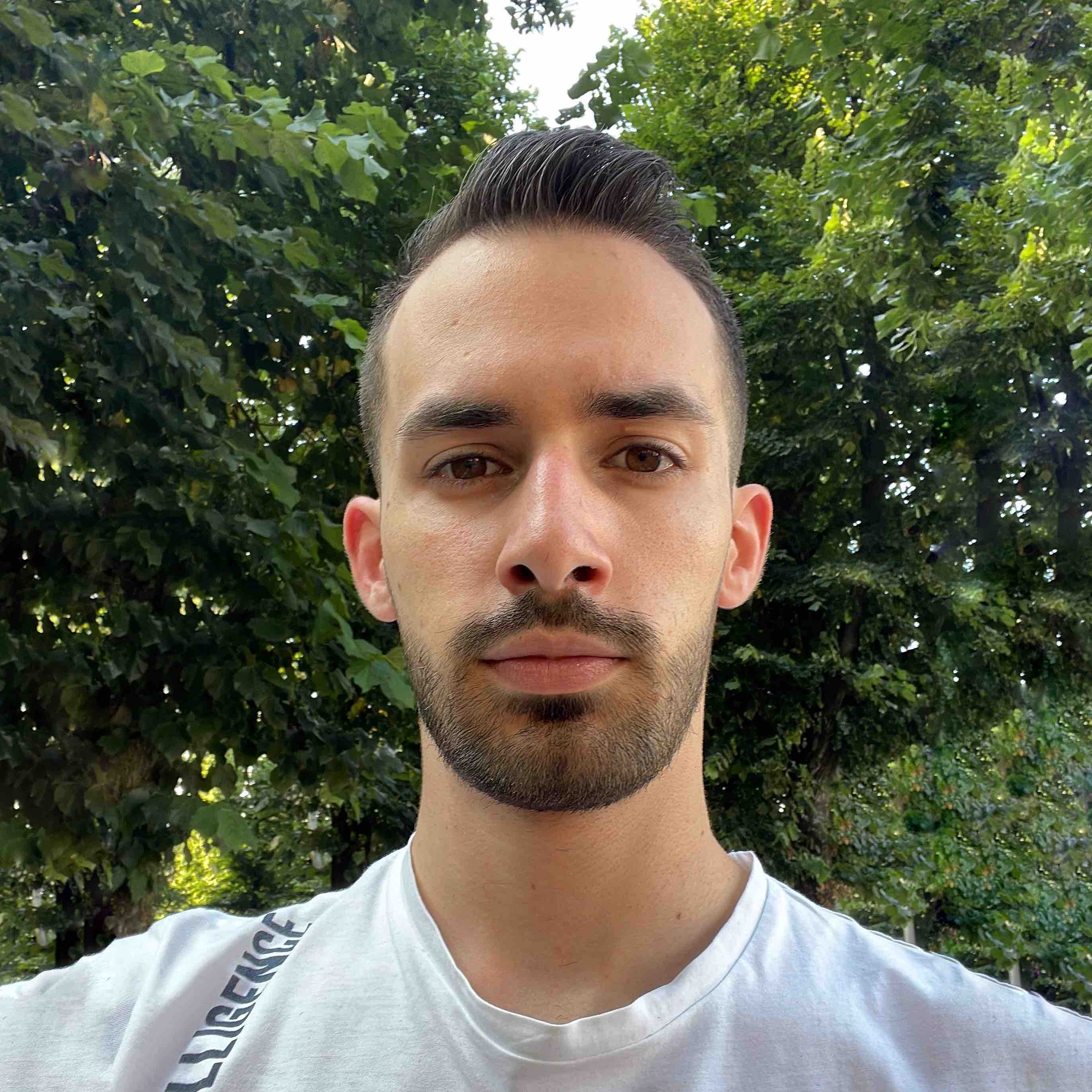 Francesco Leoni SwiftyLion